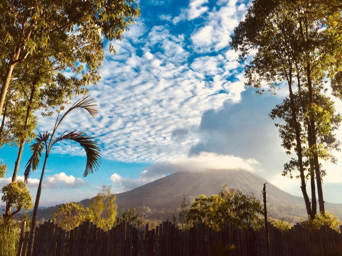 Bed and Breakfast Bunbulan Panorama Kintamani Exterior foto