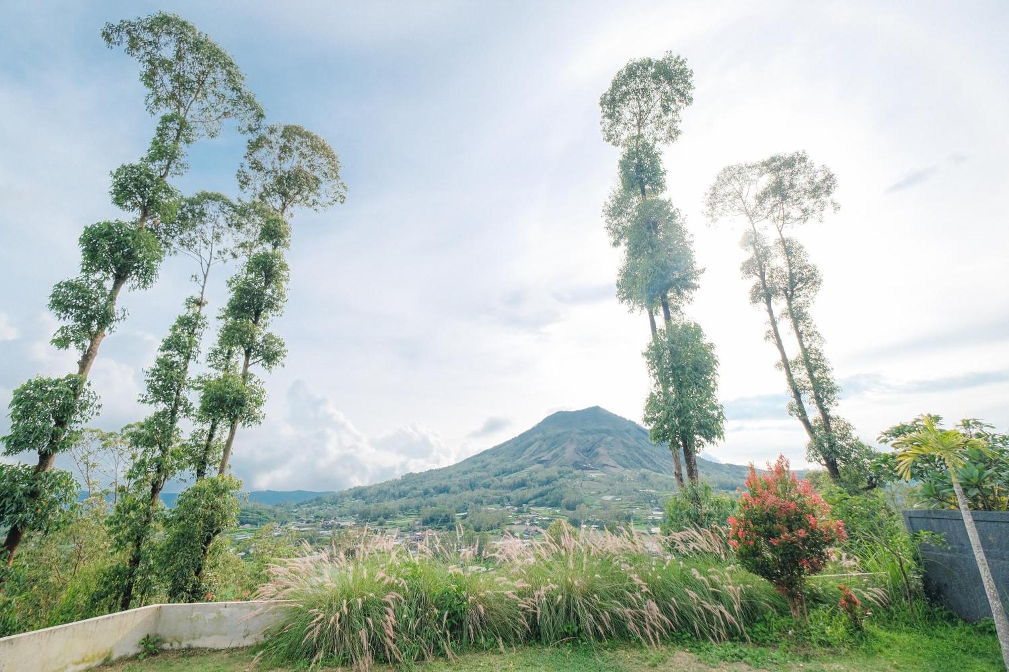 Bed and Breakfast Bunbulan Panorama Kintamani Exterior foto